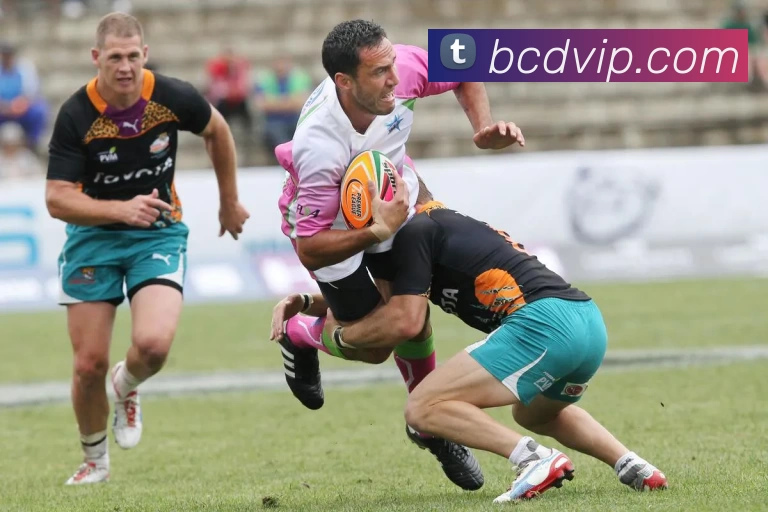 bc贷官网全站App